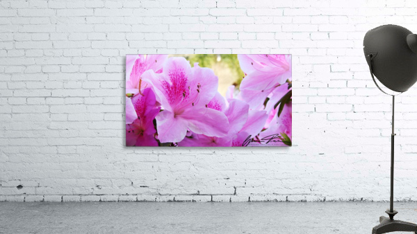 Spring Bloom  Wall Preview