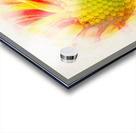 Big Kiss White Flame in watercolor Acrylic print