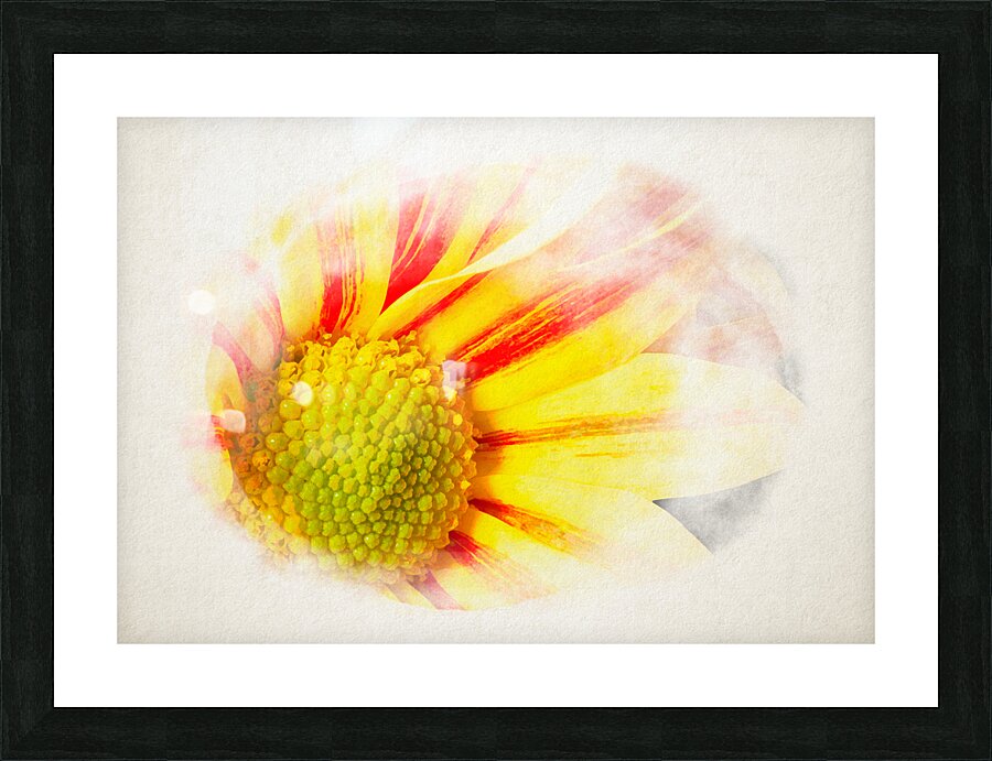 Big Kiss White Flame in watercolor Picture Frame print