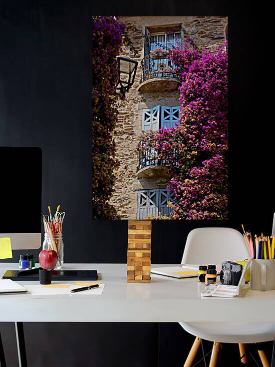 A Burst of Colored flowers in Bormes Les Mimosas by Youri Mahieu