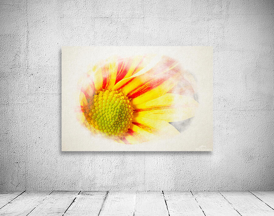 Big Kiss White Flame in watercolor Wall Preview