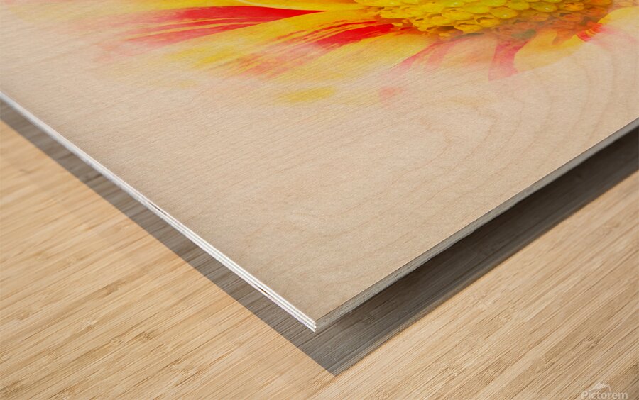 Big Kiss White Flame in watercolor Wood print