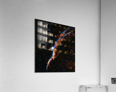 ps 8 1  Acrylic Print