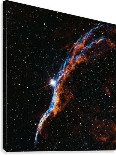 ps 8 1  Canvas Print