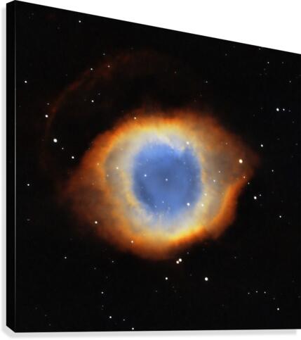 Helix Canvas Print