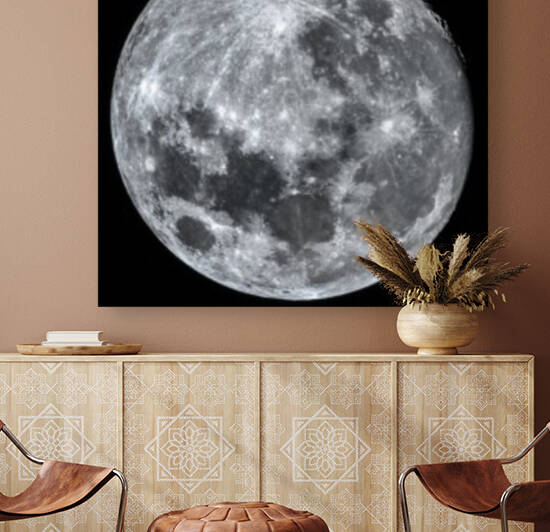 Moon Reproduction