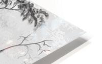 Mountain Top Tree  HD Metal print