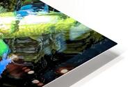 Floating Koi HD Metal print