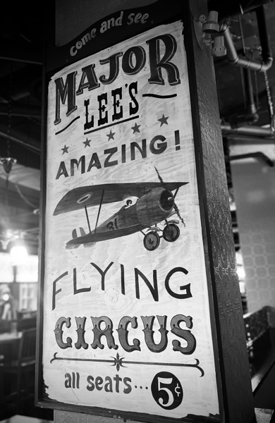Flying Circus Digital Download