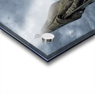 1L1A8784 Edit Acrylic print