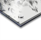 1L1A8867 Edit Edit Acrylic print