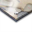 Dobby Harry potter stones left at grave Acrylic print