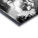 Bull Elk Canada Acrylic print