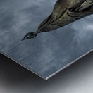 1L1A8784 Edit Metal print