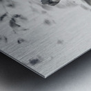 1L1A8867 Edit Edit Metal print