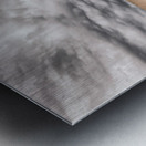 Stalin monument Metal print