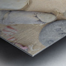 Dobby Harry potter stones left at grave Metal print