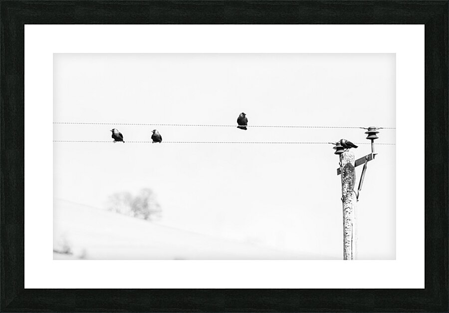 1L1A4277 2 Picture Frame print