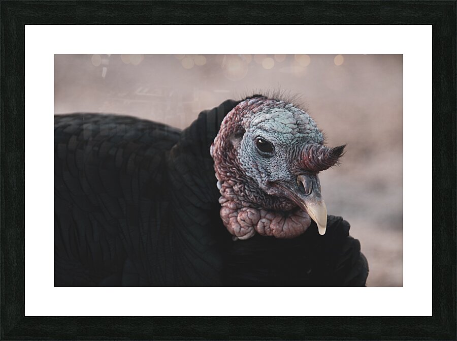  Fine Art print