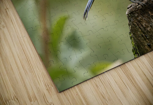 1L1A5739 Ivy Rose Photography puzzle