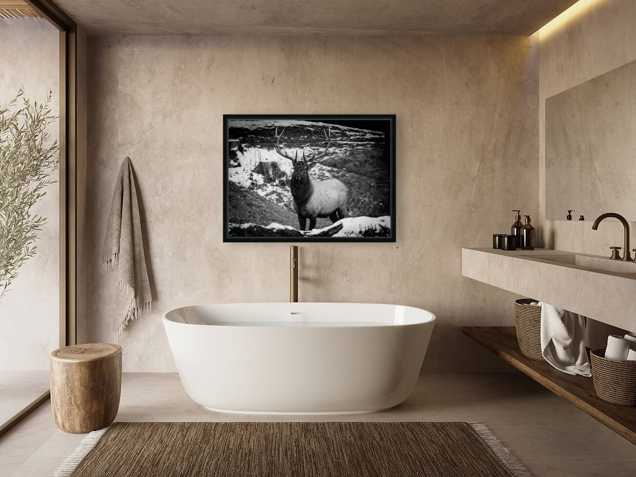 Bull Elk Canada Reproduction