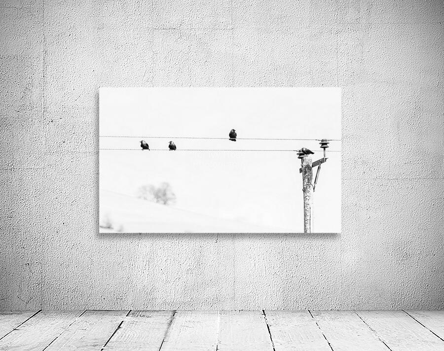 1L1A4277 2 Wall Preview