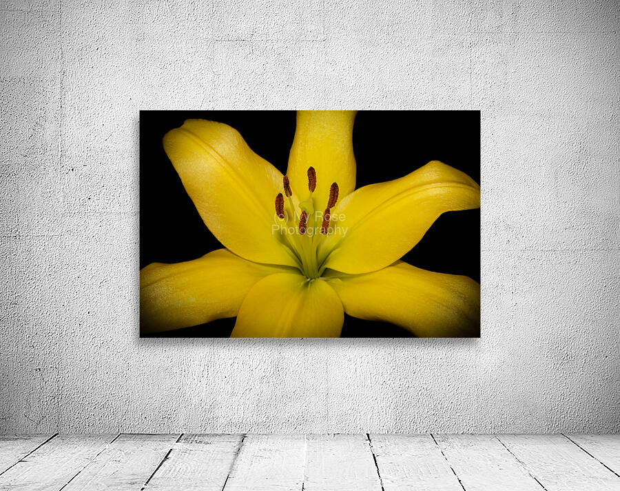 Yellow Lily Wall Preview