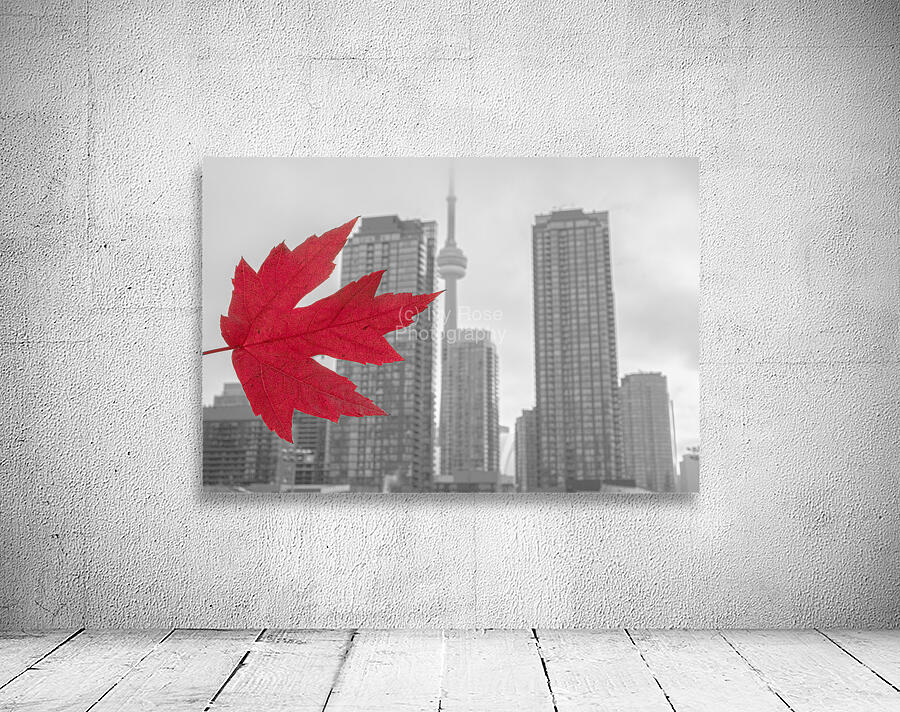 Maple CN tower Toronto Wall Preview