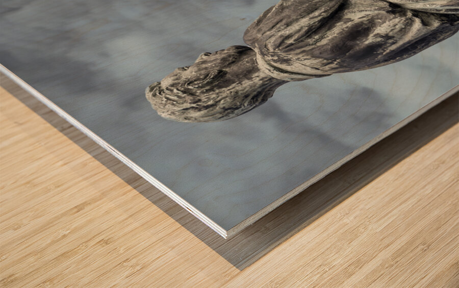 1L1A8787 Edit Wood print