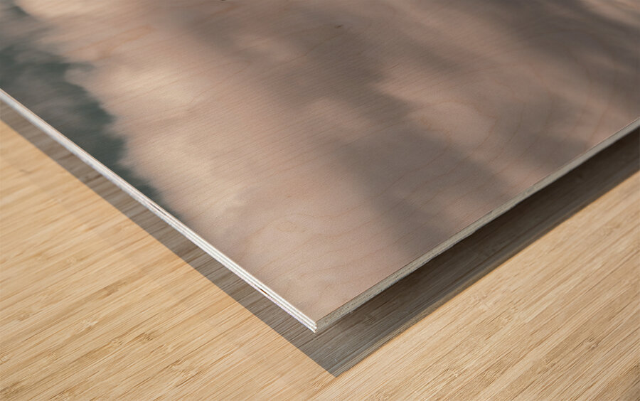 Stalin Boots Wood print