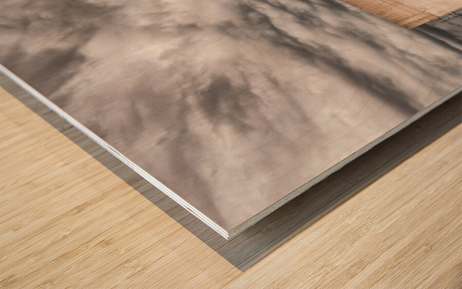 Stalin monument Wood print