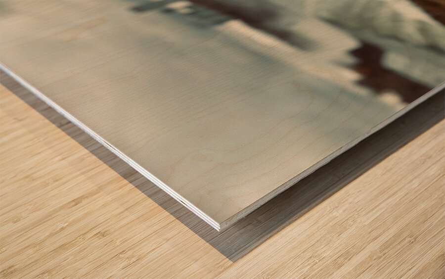 View Niagara Falls Usa Side Wood print