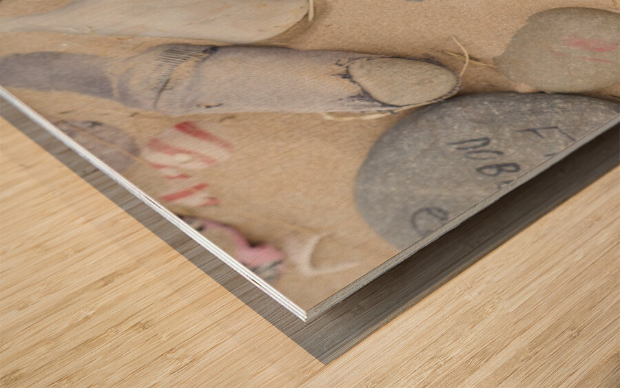 Dobby Harry potter stones left at grave Wood print