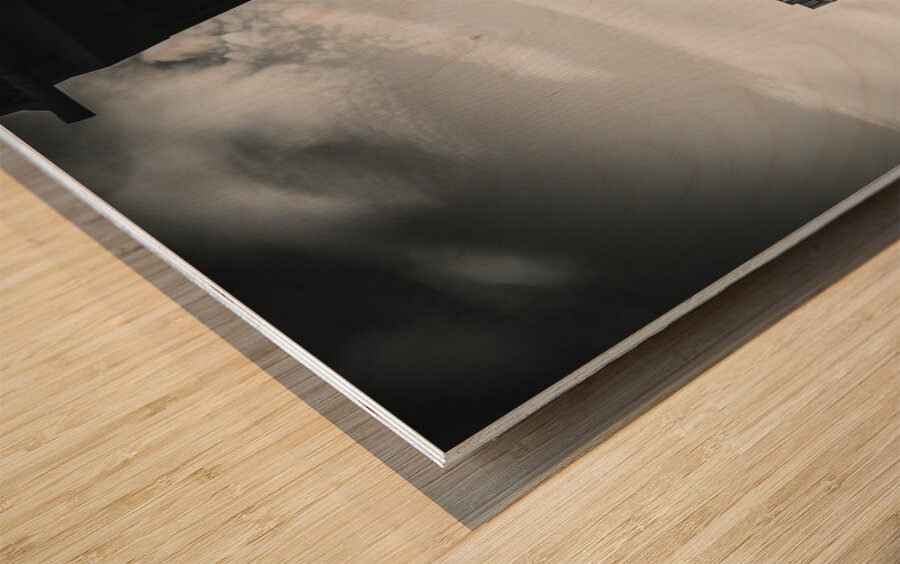 TorontoCity Cn tower  Wood print