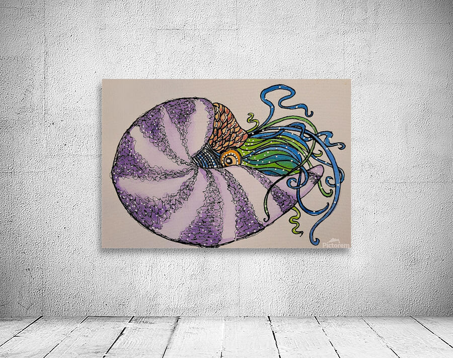 nautilus shell watercolour drawing Wall Preview