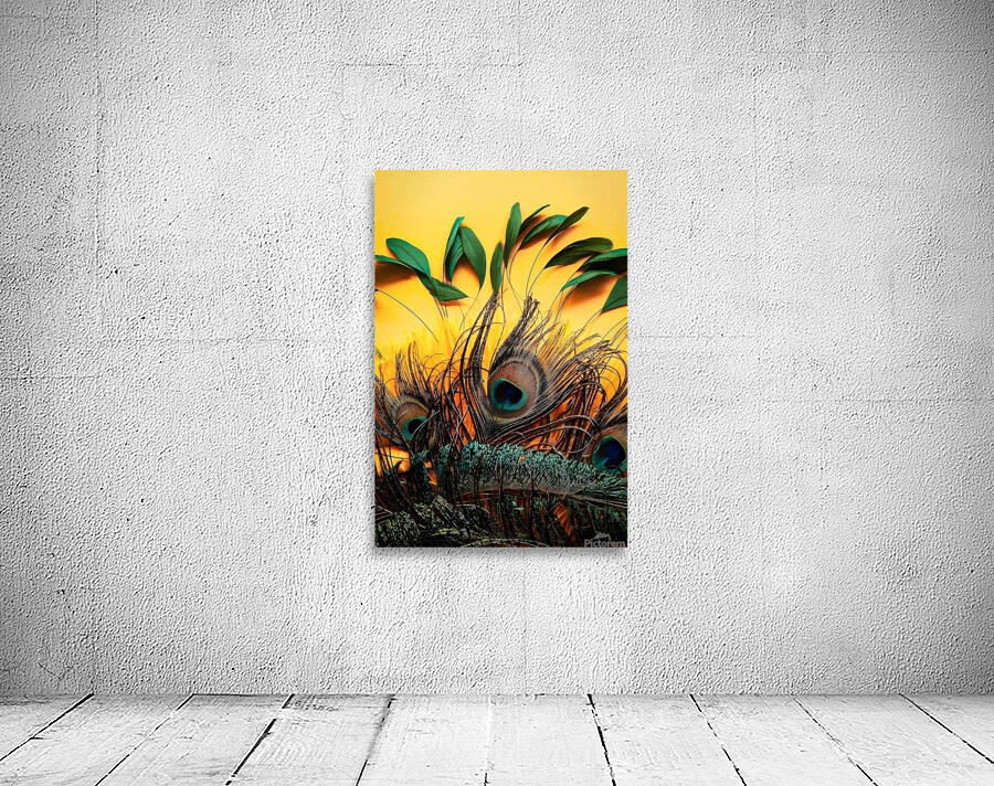 peacock feather native Wall Preview