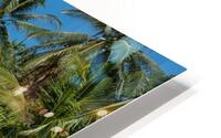 Koh Tao Excursion HD Metal print