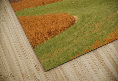IMG 1930 Crystal Knowles puzzle