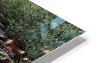 IMG 3071 HD Metal print