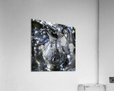The Good Silver 2 Acrylic Print