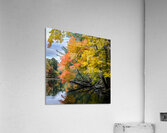Nashua River MA Acrylic Print