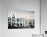 Eagle Westward Bound Acrylic Print