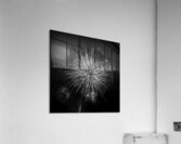 2411 untitled 0014 Acrylic Print
