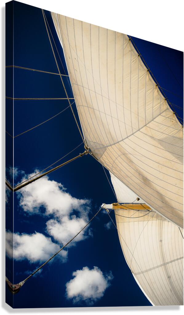 Full Sail Eagle USCG  2 Canvas Print