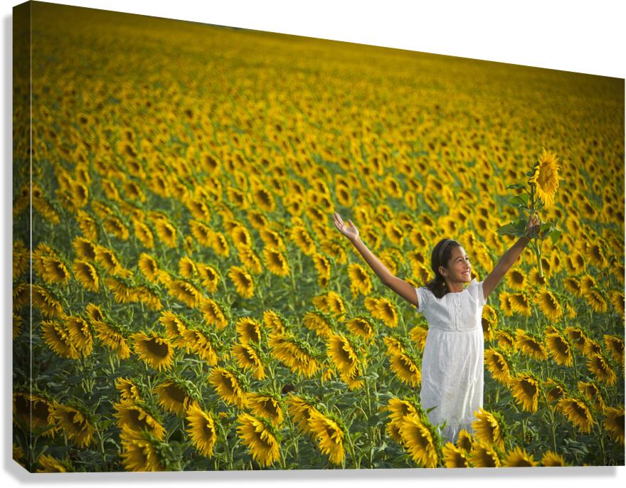 Sunflower Joy Canvas Print