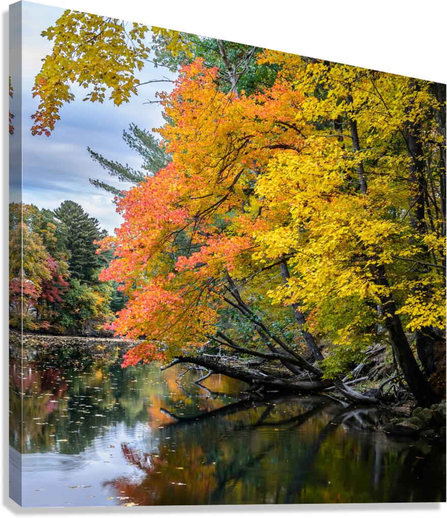 Nashua River MA Canvas Print