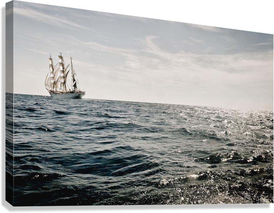 Eagle Westward Bound Canvas Print