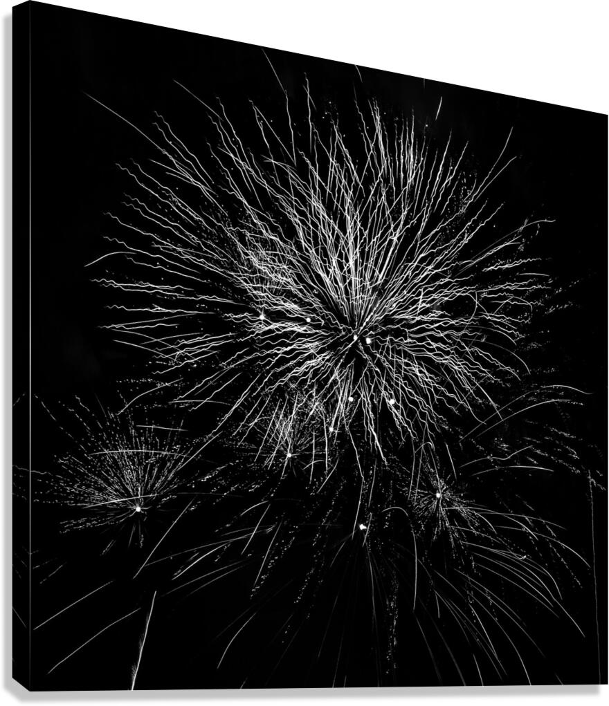 B&W Celebration  8 Canvas Print