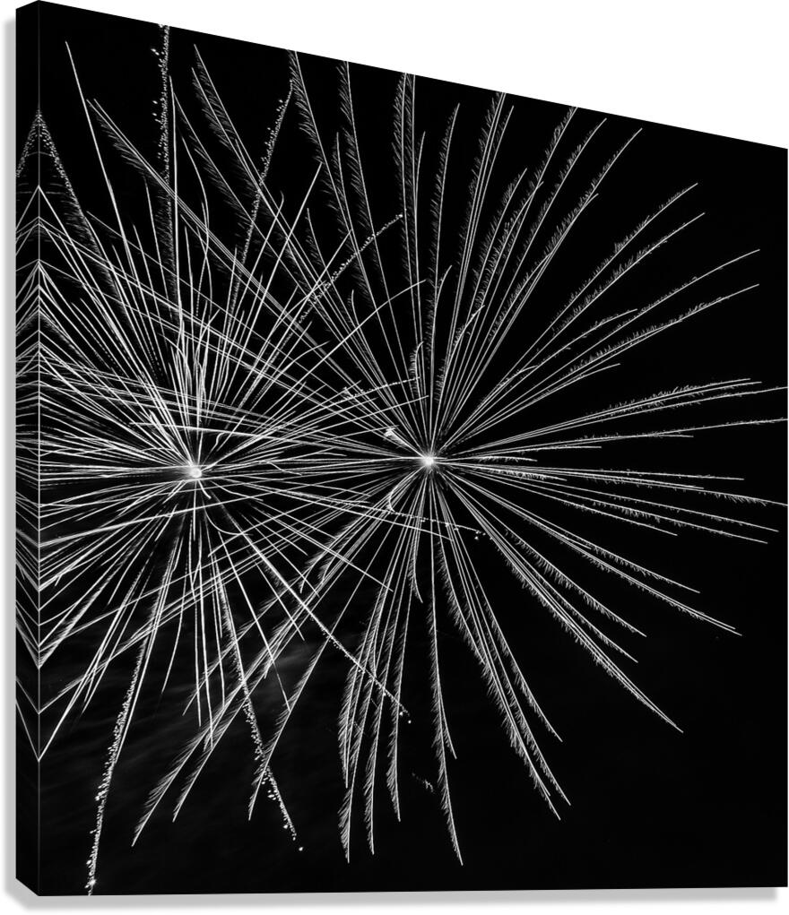 BW Celebrate Canvas Print