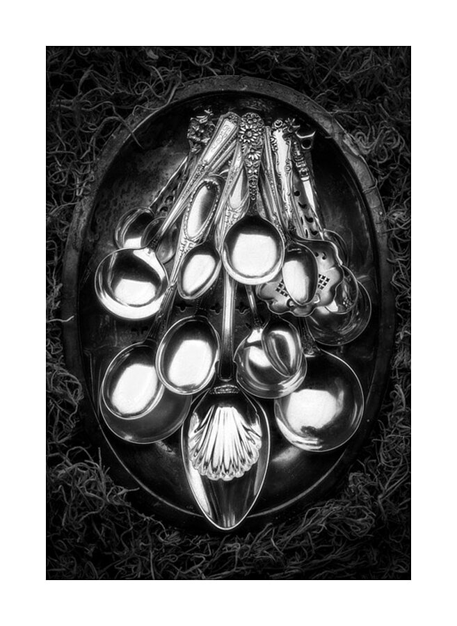 The Good Silver Picture Frame print